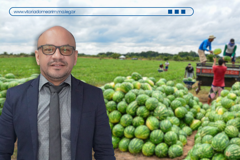 Vereador Aleilson Santos solicita ao Executivo a aquisição de sementes para agricultores da região